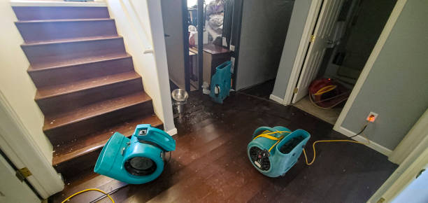 Best Residential water damage restoration  in Wahese, NC