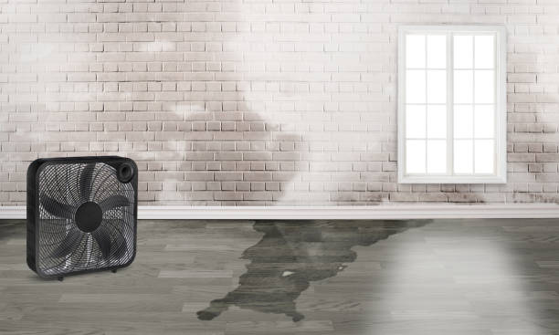 Sewage cleanup and water damage restoration in Wanchese, NC