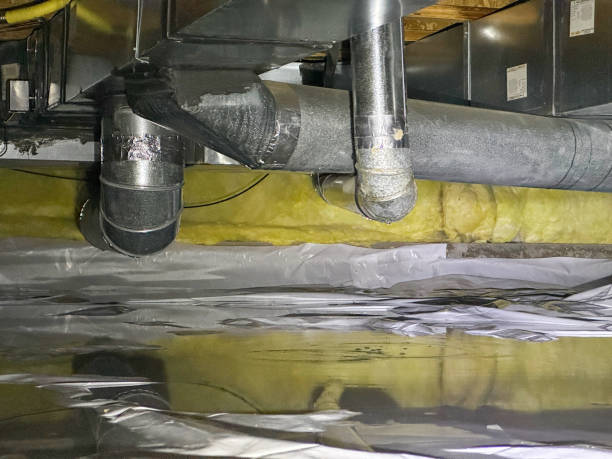 Best 24/7 water damage repair  in Wahese, NC