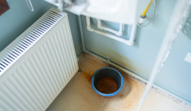 Best Water damage restoration insurance claims  in Wahese, NC