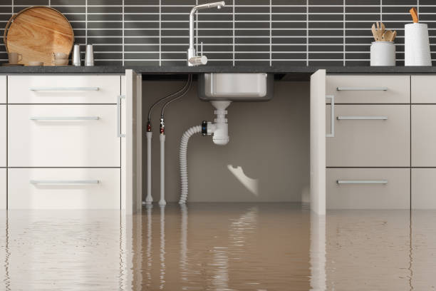 Best Water damage contractors near me  in Wahese, NC