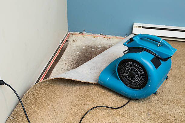  Wahese, NC Water damage restoration Pros
